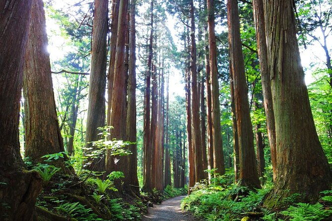 1-day-togakushi-tour-soba-making-ninja-town-and-hidden-shrines