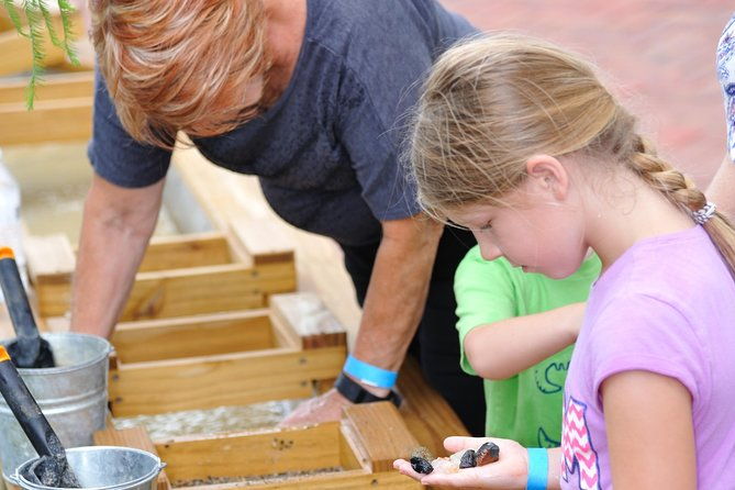 30-minute-airboat-ride-lunch-gem-mining-and-park-admission