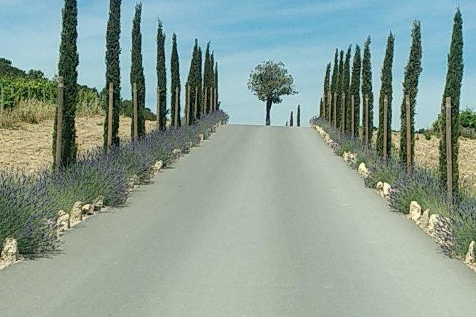 5-hour-private-sightseeing-tour-of-the-provence-from-marseille-in-luxury-car