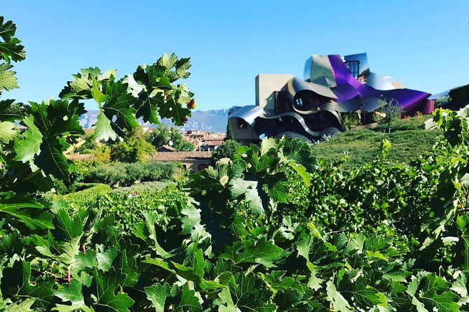 architectural-rioja-small-group-wine-tour-with-lunch-from-bilbao