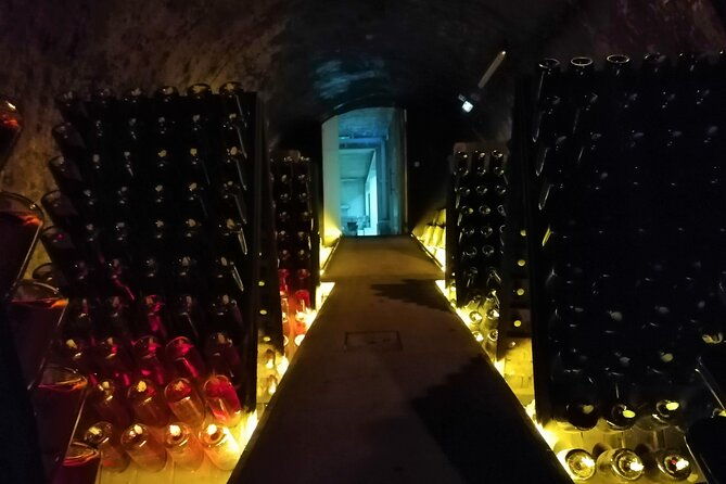 bairrada-winery-route-half-day-from-coimbra