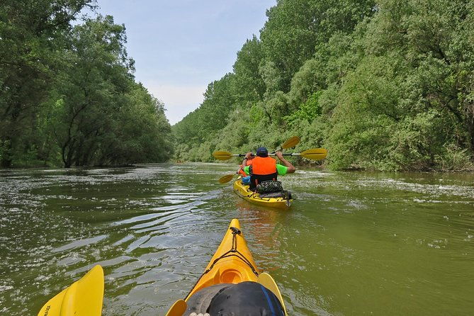 belgrade-war-island-kayak-tour