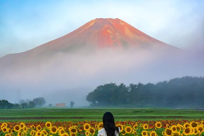 beyond-the-ordinary-private-mount-fuji-cherry-blossom-tour