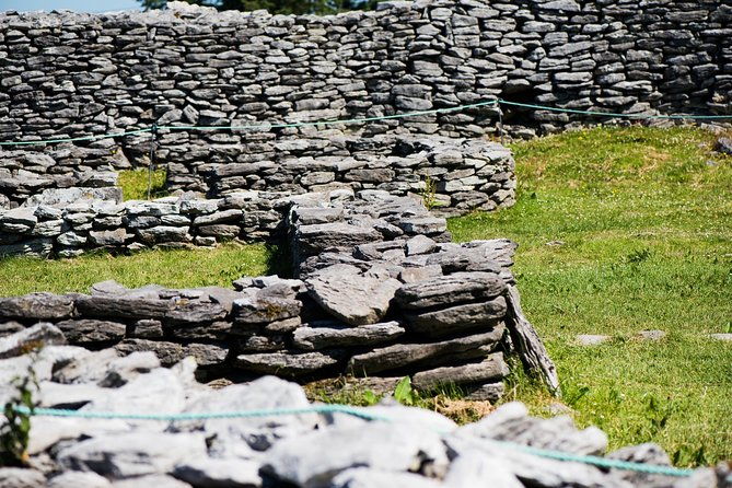 caherconnell-fort-sheepdog-demonstrations