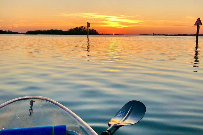 clear-kayak-tour-of-shell-key-preserve-and-tampa-bay-area
