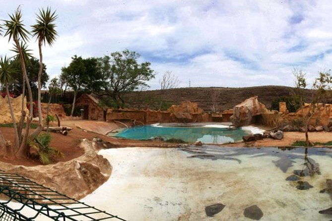 cocodrilo-park-zoo-admission-ticket-in-aguimes