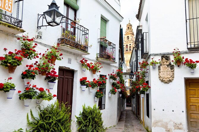 cordoba-mosque-cathedral-city-private-tour