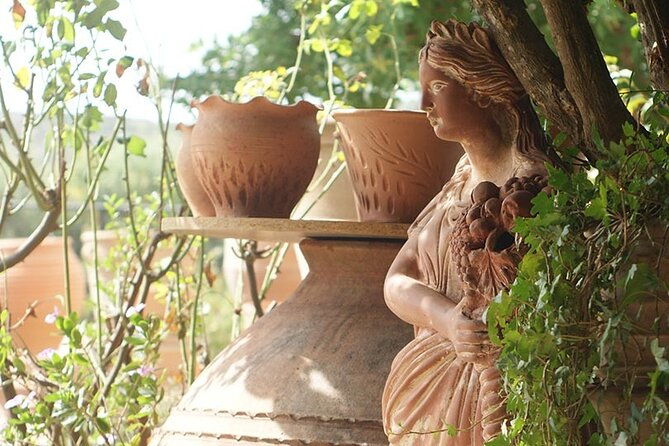 cretan-wines-olive-oil-tour-the-treasures-of-crete