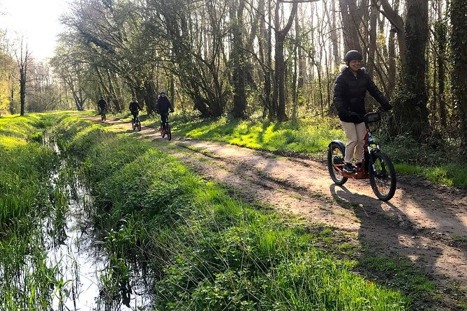 discover-versailles-on-electric-2-wheelers-yes-to-prm