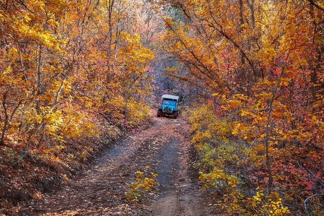 east-zion-brushy-cove-jeep-tour