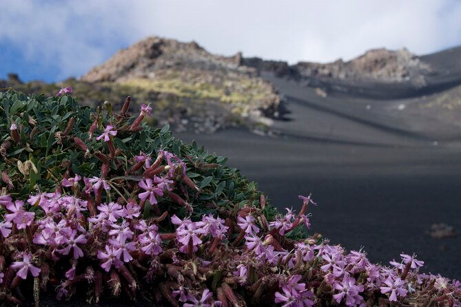etnas-hidden-gems-trek-valle-bove-lava-tunnel-with-gear