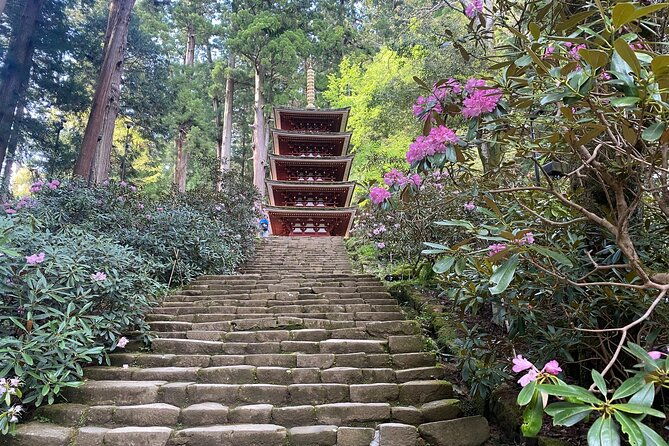 exclusive-luxury-day-tours-serene-nara