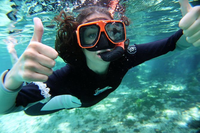 exclusive-small-group-vip-heated-manatee-snorkel-tour