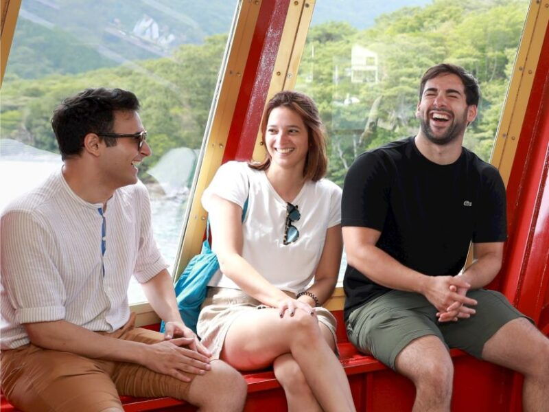 from-tokyo-hakone-cruise-mt-fuji-5th-station-day-trip