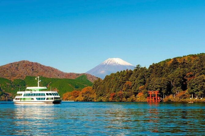 from-tokyo-mount-fuji-full-day-private-tour-with-english-guide