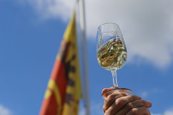 geneva-panoramic-tasting-vineyards-tour-in-an-tuk-tuk