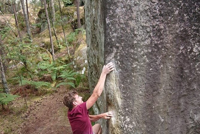 half-day-bouldering-in-fontainebleau