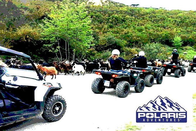 half-day-rethymno-quad-safari