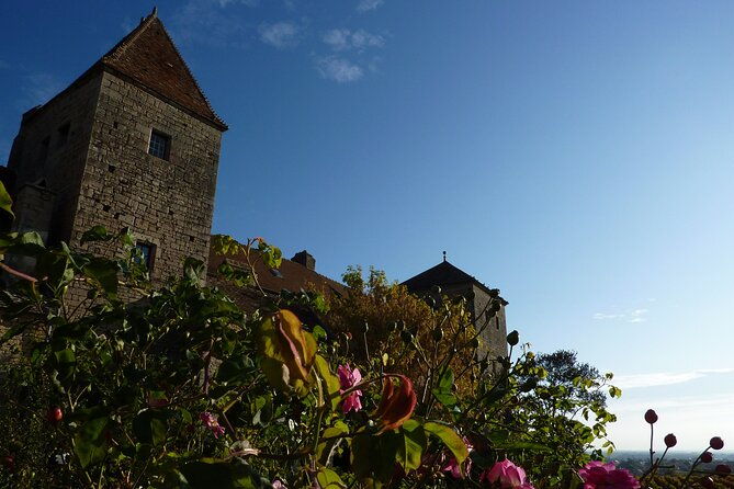 half-day-tour-of-the-cote-de-nuits-vineyards-from-dijon