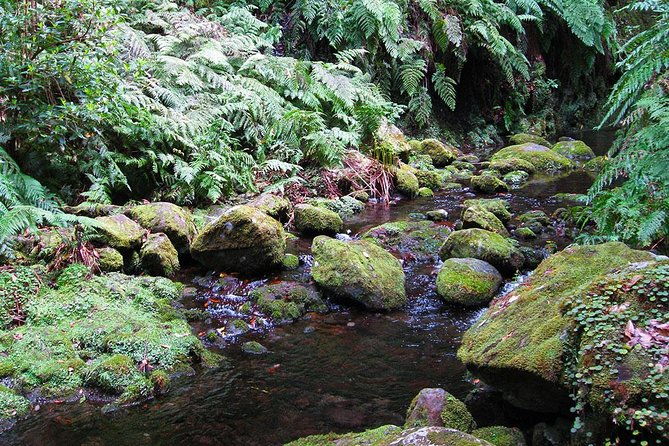 hidden-corners-levada-walk-from-funchal
