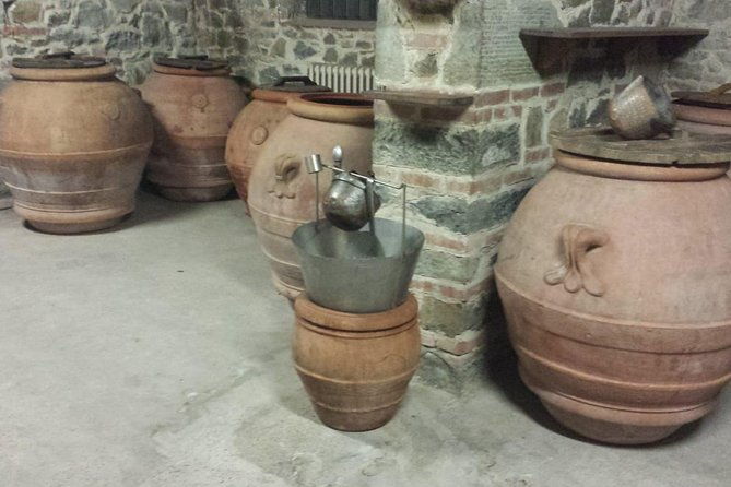 horse-ride-olive-oil-and-local-foods-tasting-in-a-tuscan-farm