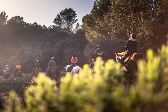 horseback-riding-in-cala-mitjana-menorca-spain
