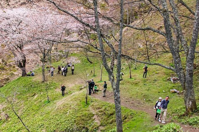kansai-region-hiking-adventure-in-nara-kobe-kyoto-and-more