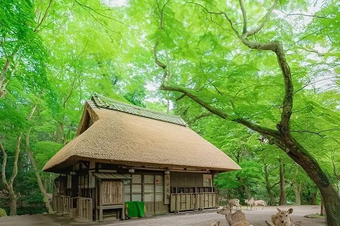 kyoto-and-nara-day-tour-from-osaka-and-kyoto