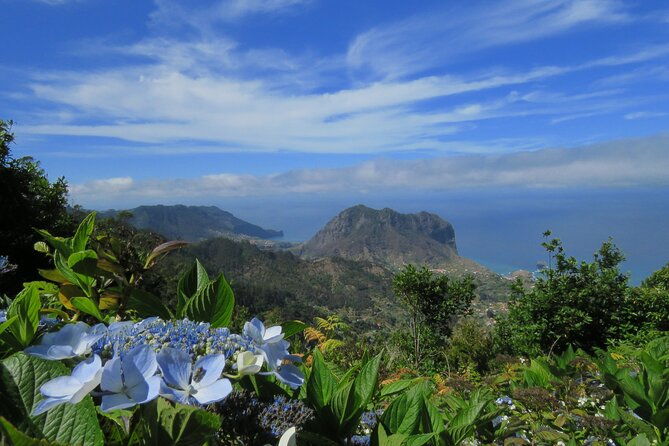 local-farmers-market-and-4wd-experience-from-funchal
