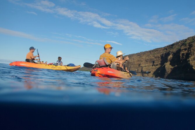 midday-meander-kealakekua-bay-kayak-and-snorkel-adventure
