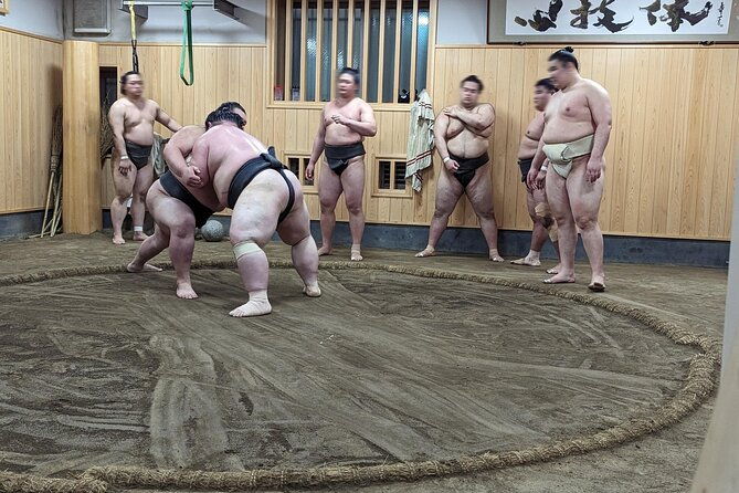 morning-sumo-practice-viewing-in-tokyo