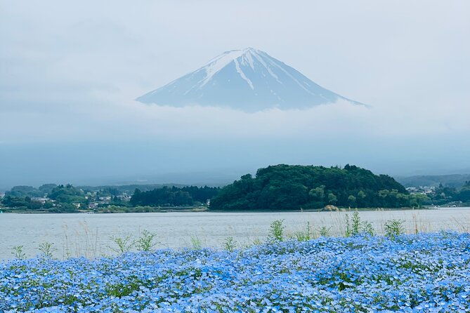 mount-fuji-hakone-private-customized-sightseeing-english-trip
