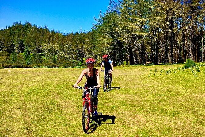 mountain-biking-tour-beginner-easy