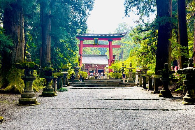 mt-fuji-cherry-blossom-day-tour-with-english-speaking-driver