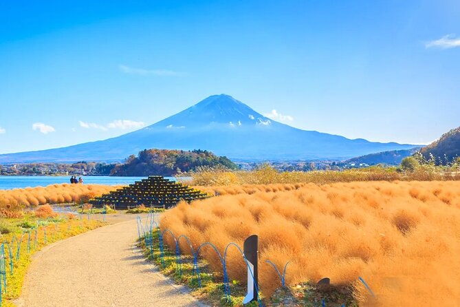 mt-fuji-exploration-tour-with-free-japanese-kusa-mochi-from-tokyo
