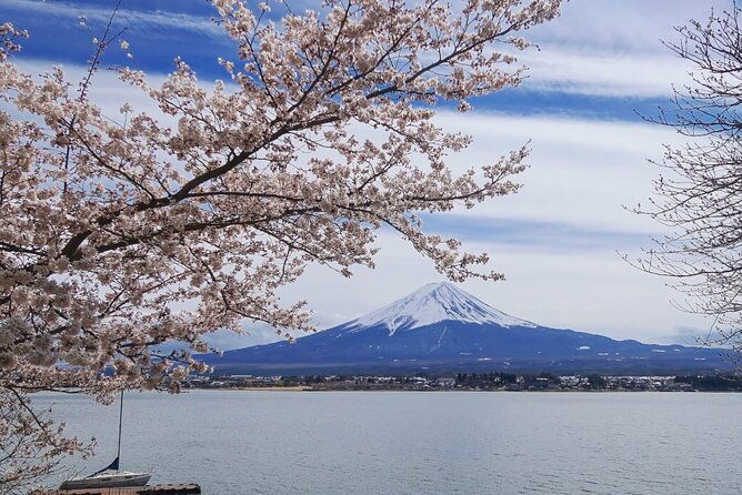 mt-fuji-private-tour-with-english-speaking-driver-2