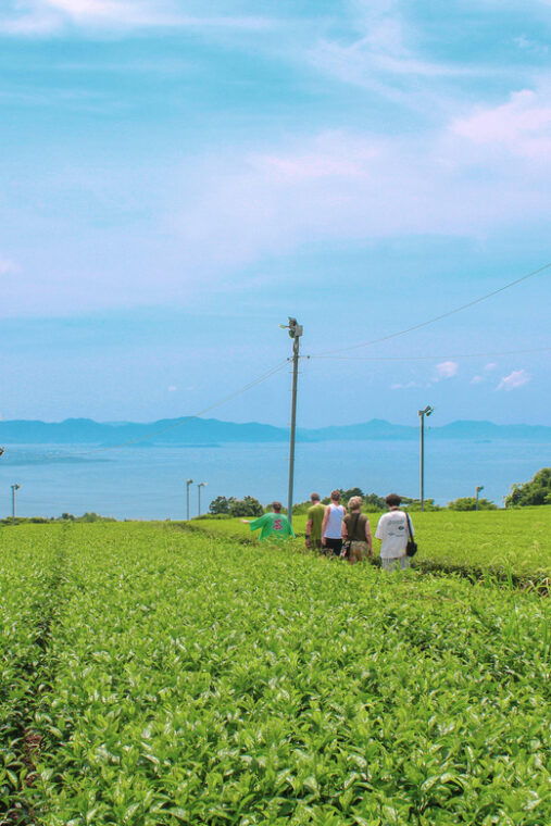 nagasaki-explore-japanese-teas-on-a-tea-tour