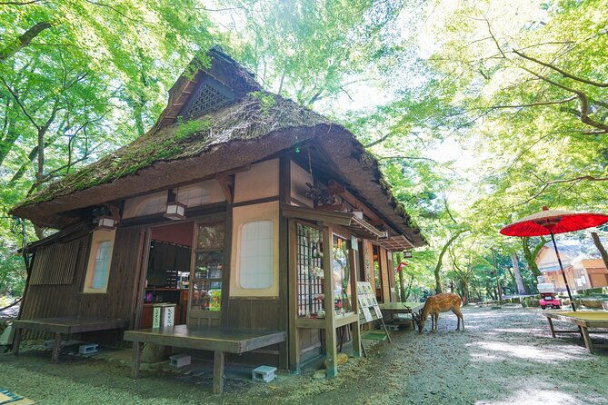 nara-half-day-trip-walking-tour