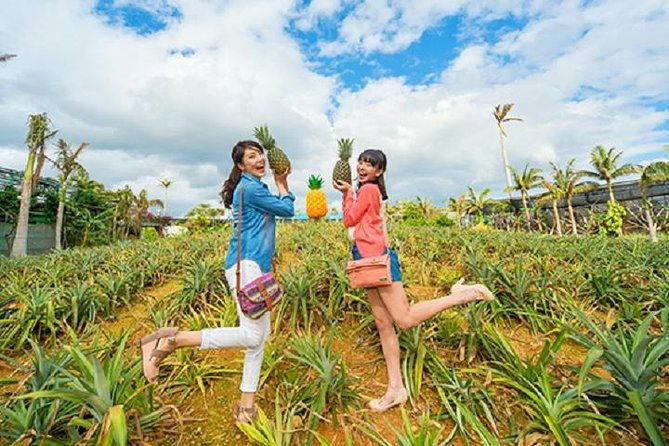 okinawa-hip-hop-bus-a-course-tour%ef%bd%9cchuraumi-aqualiumkori-island