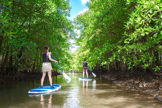 okinawa-iriomote-mangrove-sup-or-canoe-tour