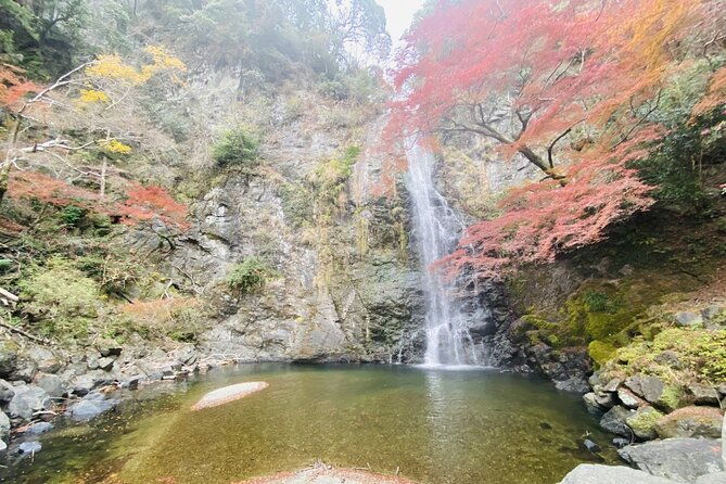 osaka-8-hours-tour-explore-city-and-minoh-falls