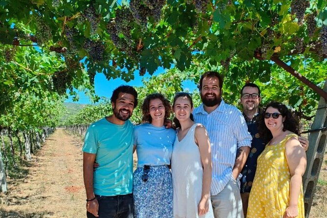 pagus-wine-tours-a-taste-of-valpolicella-half-day-wine-tour