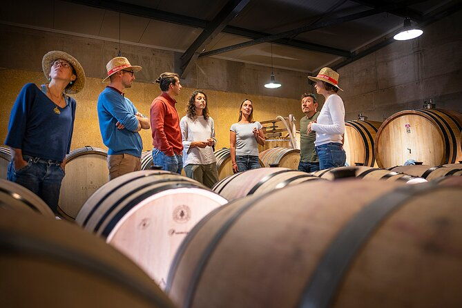 private-full-day-pic-saint-loup-wine-and-olive-tour-with-lunch-from-montpellier