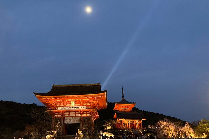 private-kyoto-with-exceptional-guide-tailored-to-your-needs