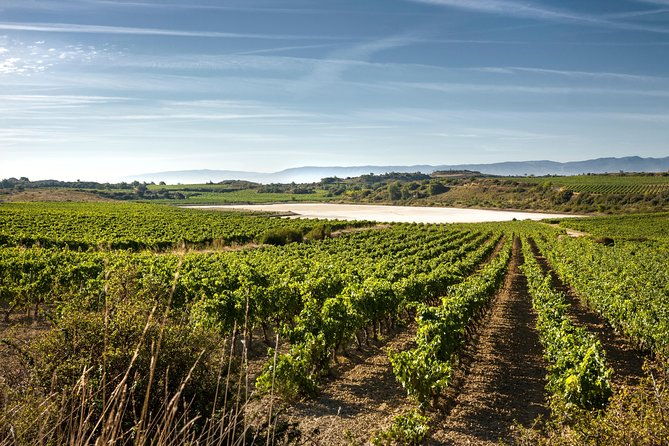 rioja-wine-tour-2-wineries-from-pamplona