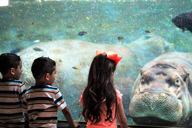san-antonio-zoo-general-admission-ticket