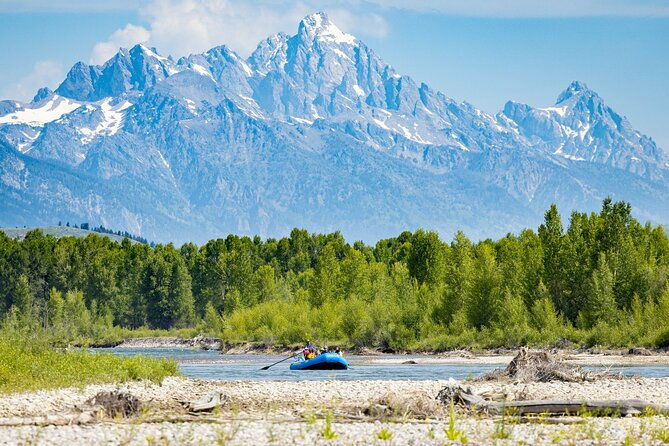 scenic-wildlife-float-in-jackson-hole