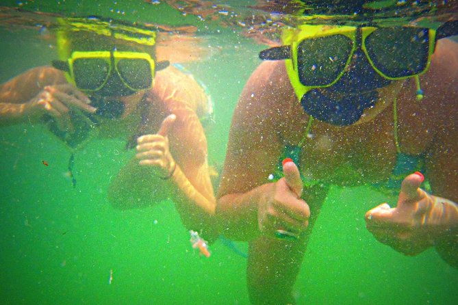 shell-island-snorkel-and-dolphin-catamaran-cruise-with-island-time