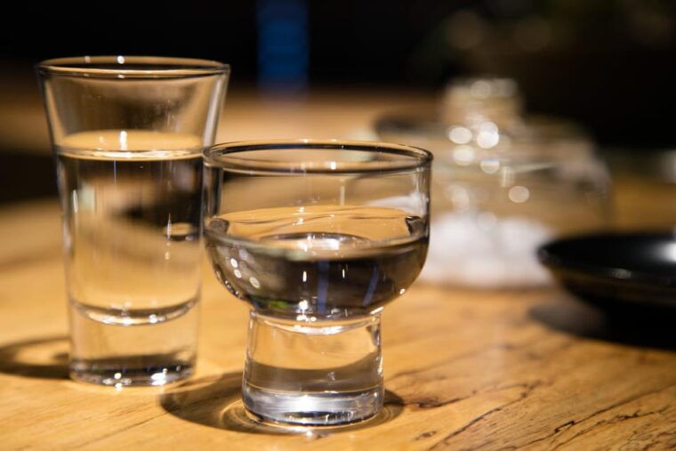 shibuya-vegan-hot-pot-japanese-dinner-sake-tasting-tour