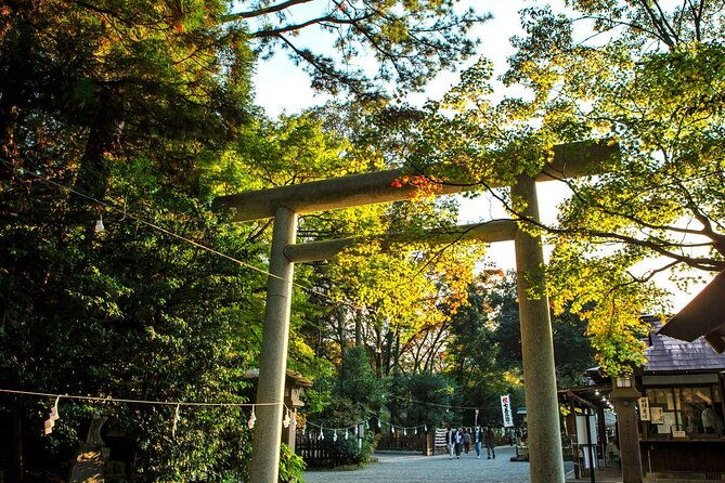 shrine-scenic-tour-kamishikimi-amano-iwato-takachiho-gorge